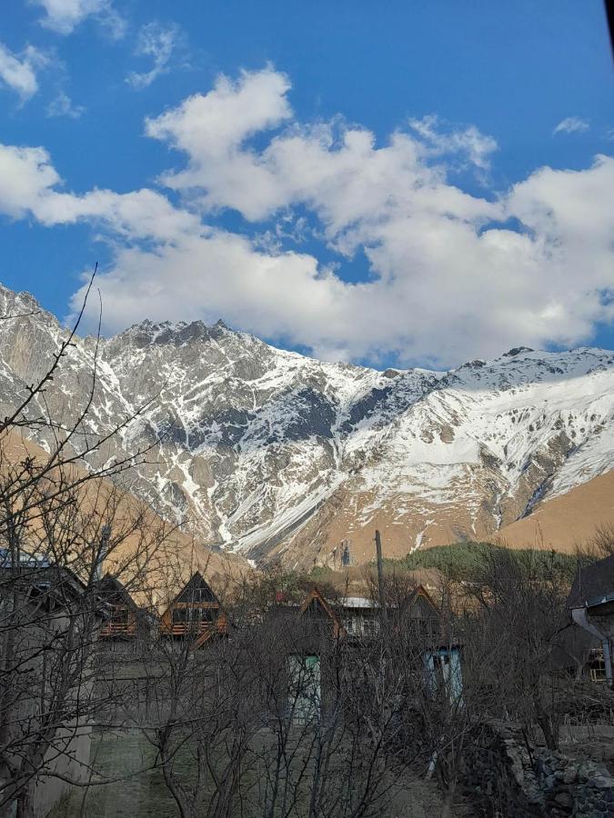 Emotion Kazbegi Διαμέρισμα Εξωτερικό φωτογραφία