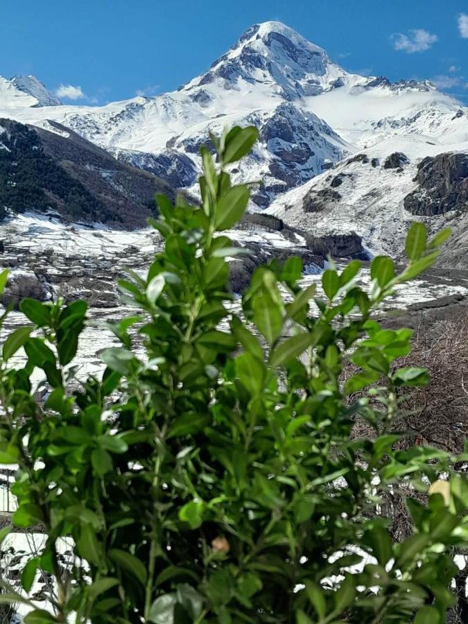 Emotion Kazbegi Διαμέρισμα Εξωτερικό φωτογραφία