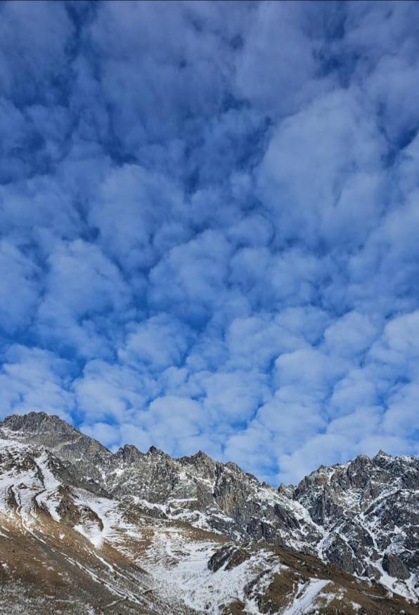 Emotion Kazbegi Διαμέρισμα Δωμάτιο φωτογραφία