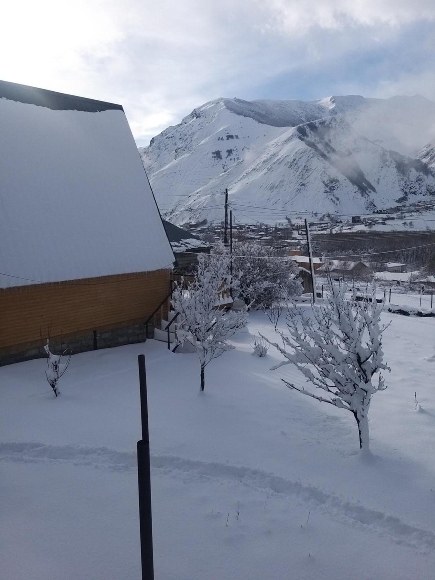 Emotion Kazbegi Διαμέρισμα Δωμάτιο φωτογραφία