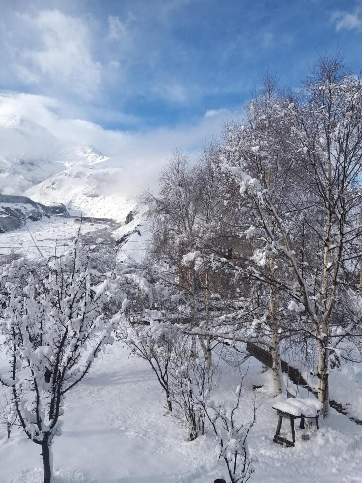 Emotion Kazbegi Διαμέρισμα Δωμάτιο φωτογραφία