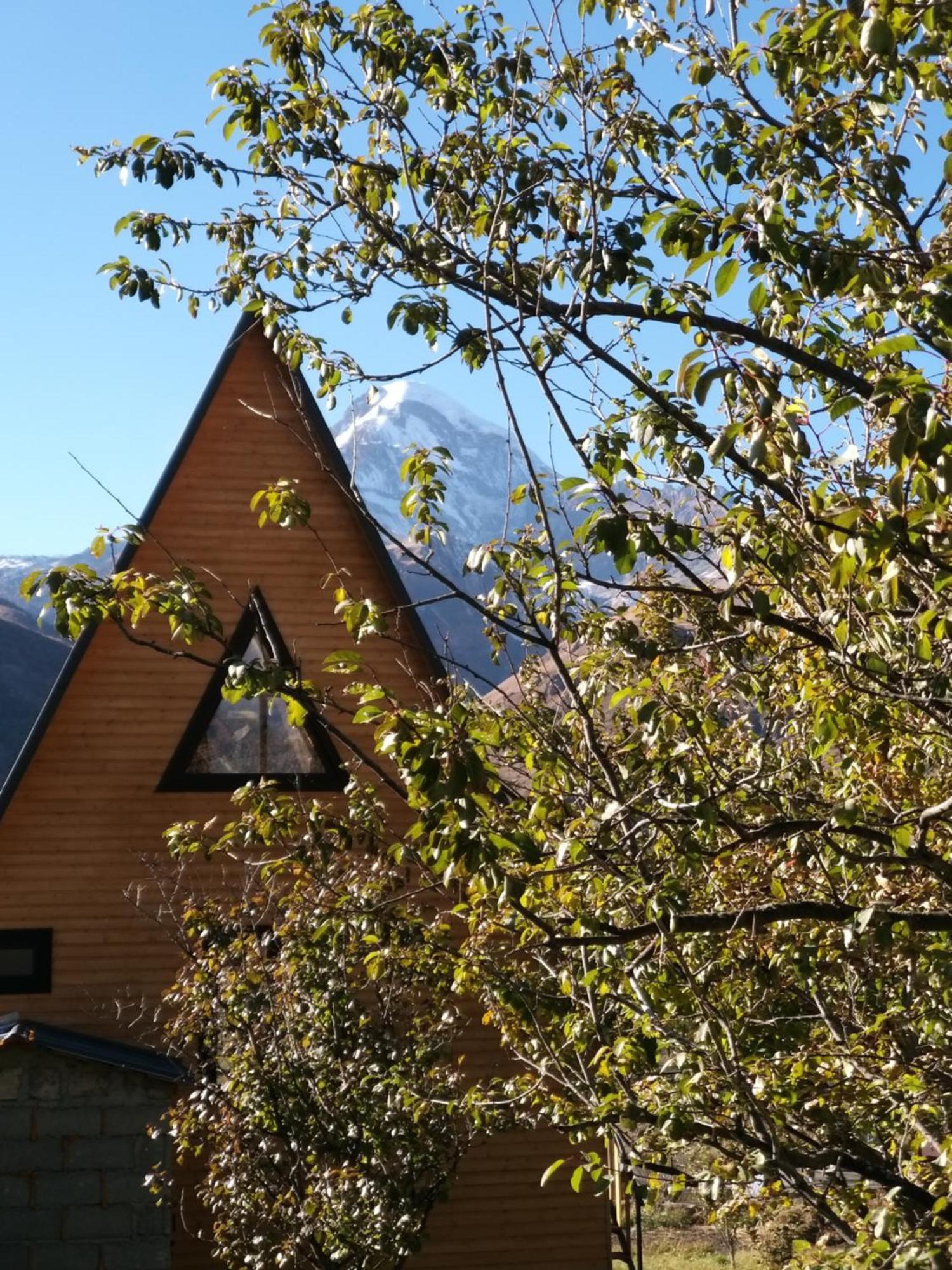 Emotion Kazbegi Διαμέρισμα Δωμάτιο φωτογραφία