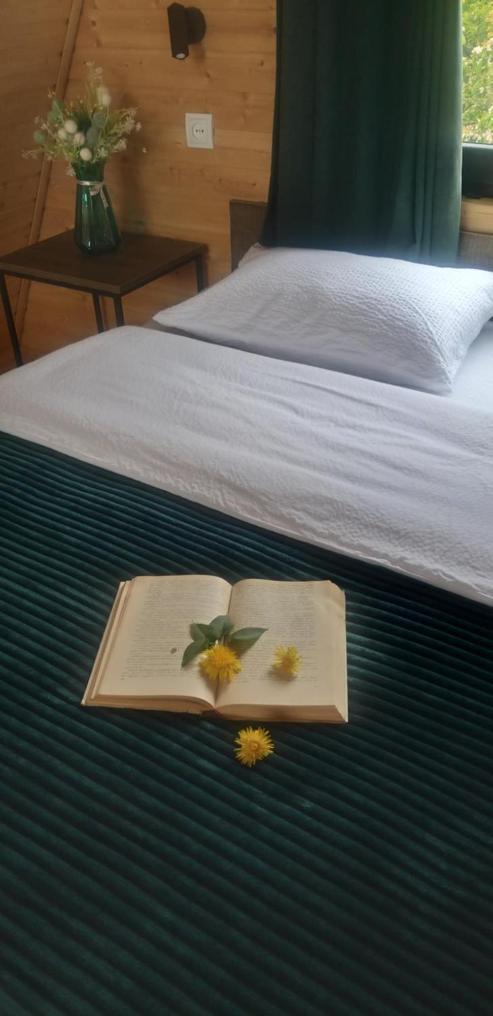 Emotion Kazbegi Διαμέρισμα Εξωτερικό φωτογραφία